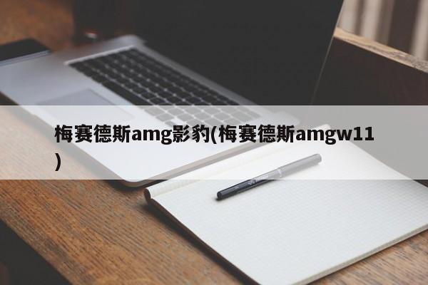 梅赛德斯amg影豹(梅赛德斯amgw11)
