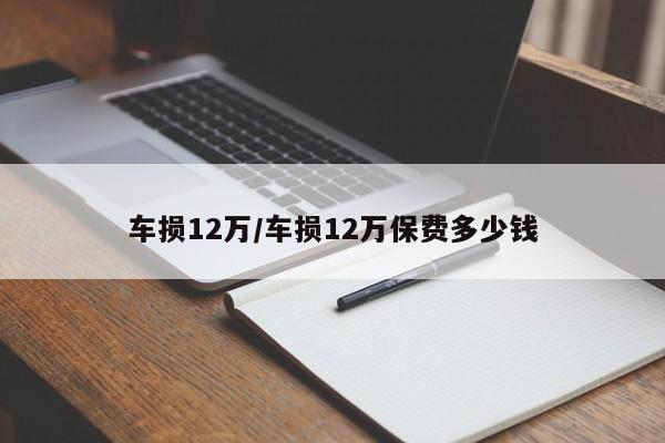 车损12万/车损12万保费多少钱