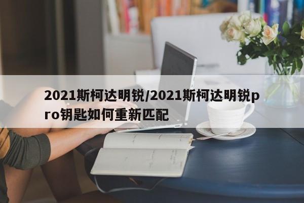 2021斯柯达明锐/2021斯柯达明锐pro钥匙如何重新匹配