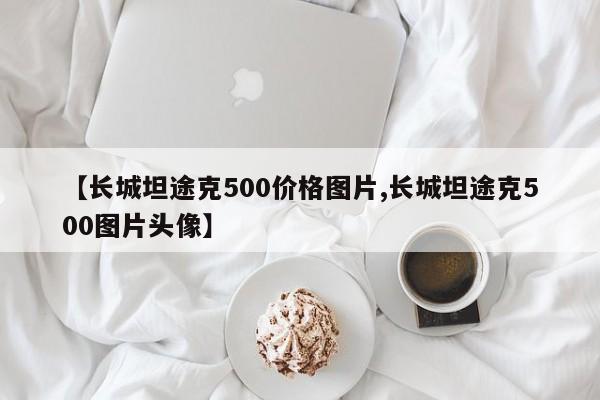 【长城坦途克500价格图片,长城坦途克500图片头像】