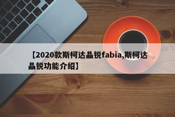 【2020款斯柯达晶锐fabia,斯柯达晶锐功能介绍】